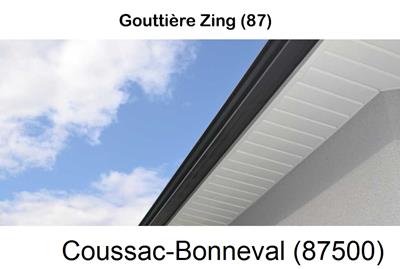 gouttière alu à Coussac-Bonneval-87500