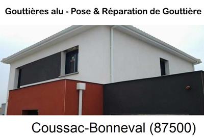 Artisan gouttière à Coussac-Bonneval-87500