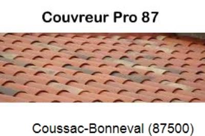 Réparation fuite à Coussac-Bonneval-87500