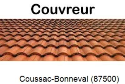 Toiture réparation à Coussac-Bonneval-87500