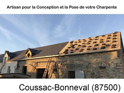 Rénovation charpente Coussac-Bonneval-87500