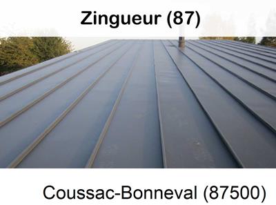 Votre zingueur en image à Coussac-Bonneval-87500