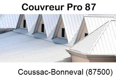 Entreprise de zinguerie à Coussac-Bonneval-87500