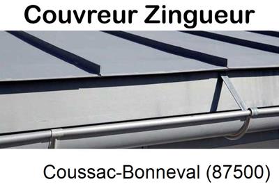 Photo toiture zinc Coussac-Bonneval-87500