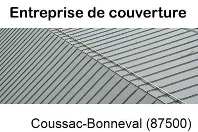 Couvreur pro 87 Coussac-Bonneval-87500