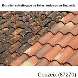 Nettoyage toiture à Couzeix-87270