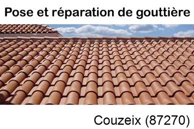 entreprise de gouttière à Couzeix-87270