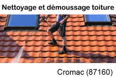 Artisan couvreur propose anti-mousse à Cromac-87160