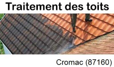 Démoussage sur toiture ardoise et tuile Cromac-87160