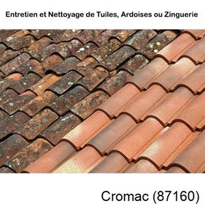 Nettoyage toiture à Cromac-87160