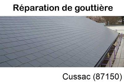 Pose gouttière pvc à Cussac-87150