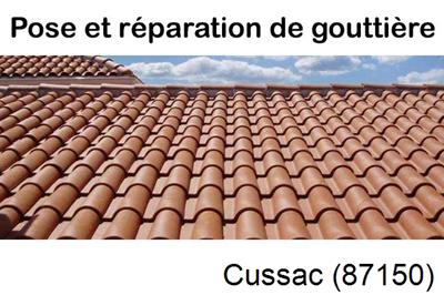 entreprise de gouttière à Cussac-87150