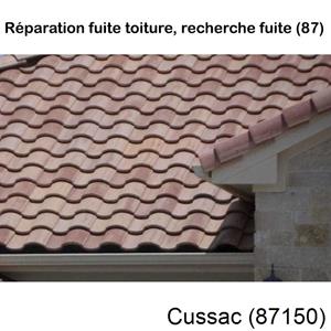 Votre couvreur pour la réparation des toits Cussac-87150