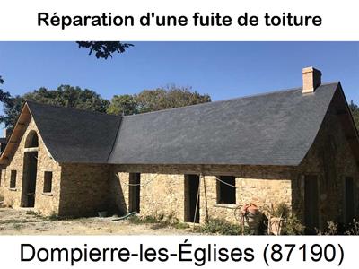 Artisan couvreur à la recherche d'une fuite Dompierre-les-Églises-87190