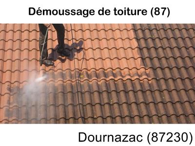 Toiture démoussage Dournazac-87230