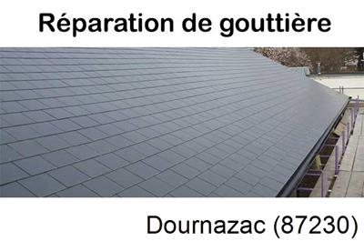 Travaux rénovation gouttière Dournazac-87230