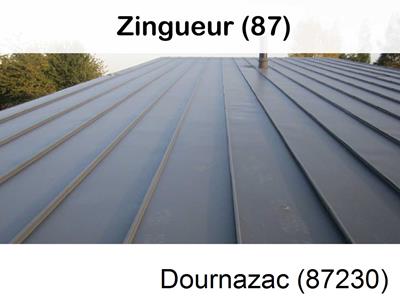 Bardage en zinc à Dournazac-87230