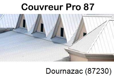 Photo toiture zinc Dournazac-87230