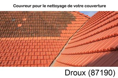 Entreprise de couverture à Droux-87190