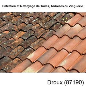 Nettoyage toiture à Droux-87190