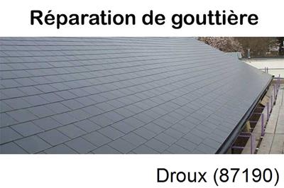 Travaux rénovation gouttière Droux-87190