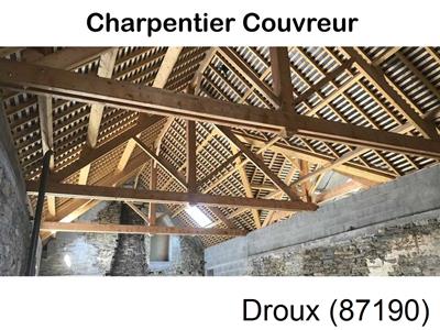 Votre charpentier, travaux de charpente Droux-87190