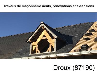 Maçonnerie en neuf à Droux-87190