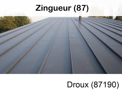 Votre zingueur en image à Droux-87190