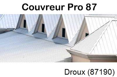 Entreprise de zinguerie à Droux-87190