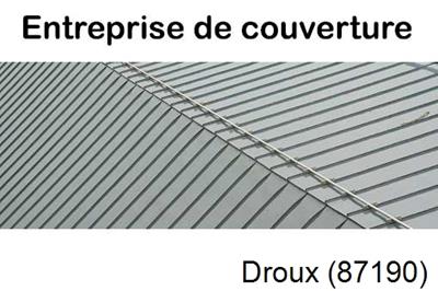 Couvreur pro 87 Droux-87190