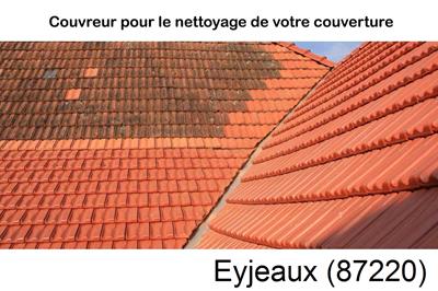 Nettoyage toiture à Eyjeaux-87220