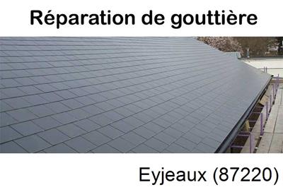 Travaux rénovation gouttière Eyjeaux-87220