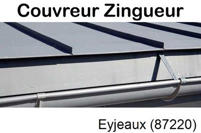 Photo toiture zinc Eyjeaux-87220