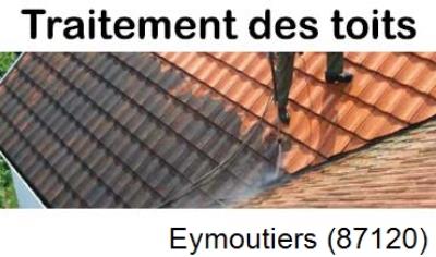 Toiture démoussage Eymoutiers-87120