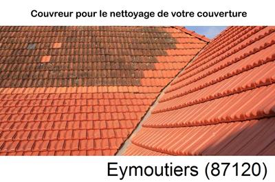 Nettoyage toiture à Eymoutiers-87120