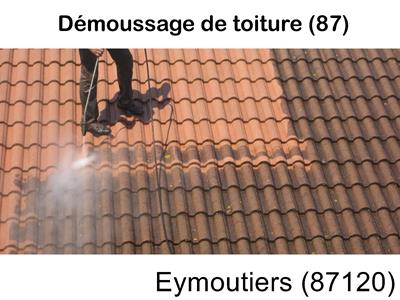 Couvreur pro 87 sur Eymoutiers-87120