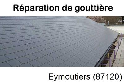 Travaux rénovation gouttière Eymoutiers-87120