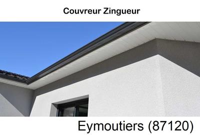 Toiture réparation, nettoyage gouttière Eymoutiers-87120