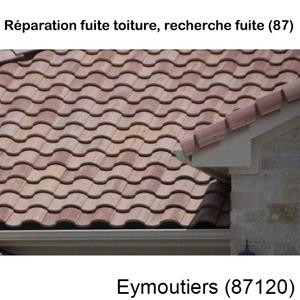 Votre couvreur pour la réparation des toits Eymoutiers-87120