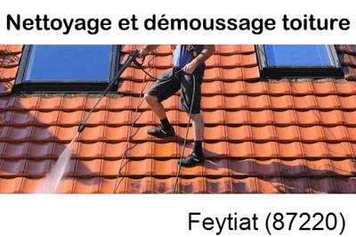 Démoussage sur toiture ardoise et tuile Feytiat-87220