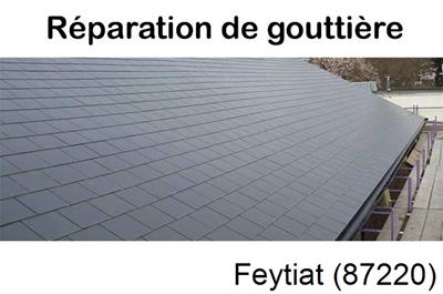 Travaux rénovation gouttière Feytiat-87220