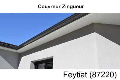 Toiture réparation, nettoyage gouttière Feytiat-87220