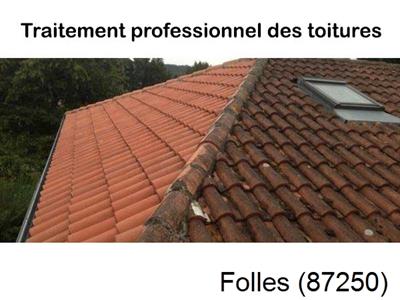 La référence en toiture à Folles-87250