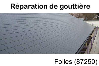 Travaux rénovation gouttière Folles-87250