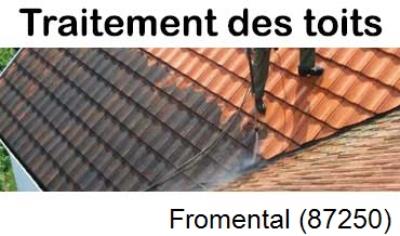 Toiture démoussage Fromental-87250