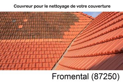 Nettoyage toiture à Fromental-87250