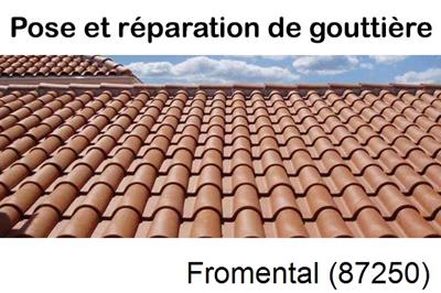 gouttière à Fromental-87250