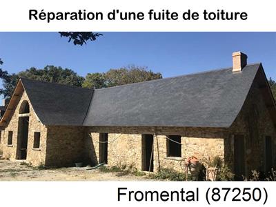 Artisan couvreur à la recherche d'une fuite Fromental-87250