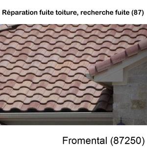 Votre couvreur pour la réparation des toits Fromental-87250