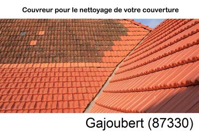 Nettoyage toiture à Gajoubert-87330